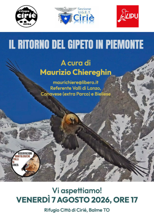 Il ritorno del Gipeto in Piemonte